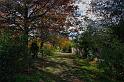 autumn lane
